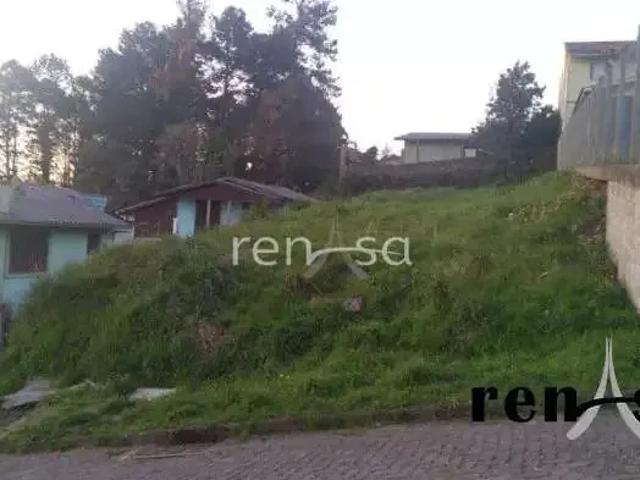 Terreno / Lote para Venda em Caxias do Sul/RS São Caetano