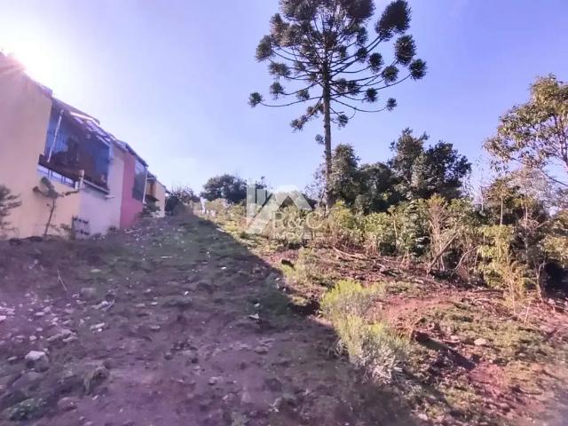 Terreno / Lote para Venda em Caxias do Sul/RS São Caetano