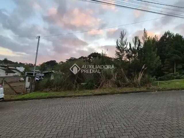 Terreno / Lote para Venda em Caxias do Sul/RS São Caetano