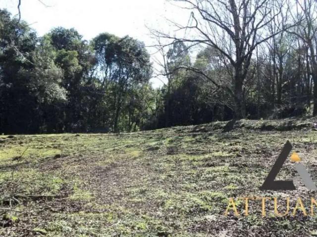 Terreno / Lote para Venda em Caxias do Sul/RS São Caetano