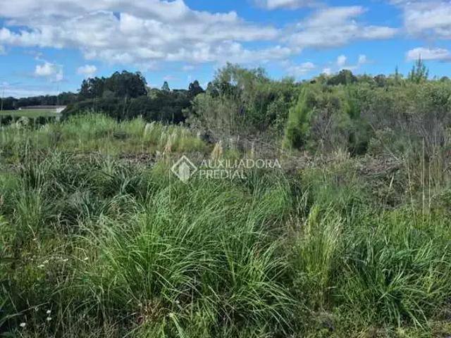 Terreno / Lote para Venda em Caxias do Sul/RS São Caetano