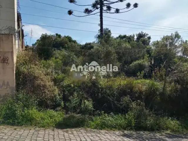 Terreno / Lote para Venda em Caxias do Sul/RS São Caetano