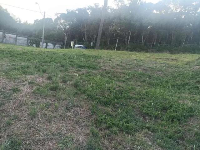 Terreno / Lote para Venda em Caxias do Sul/RS São Ciro