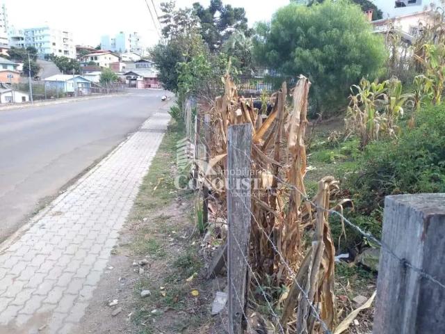 Terreno / Lote para Venda em Caxias do Sul/RS São Cristóvão