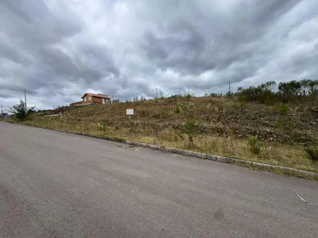 Terreno / Lote para Venda em Caxias do Sul/RS São Giácomo