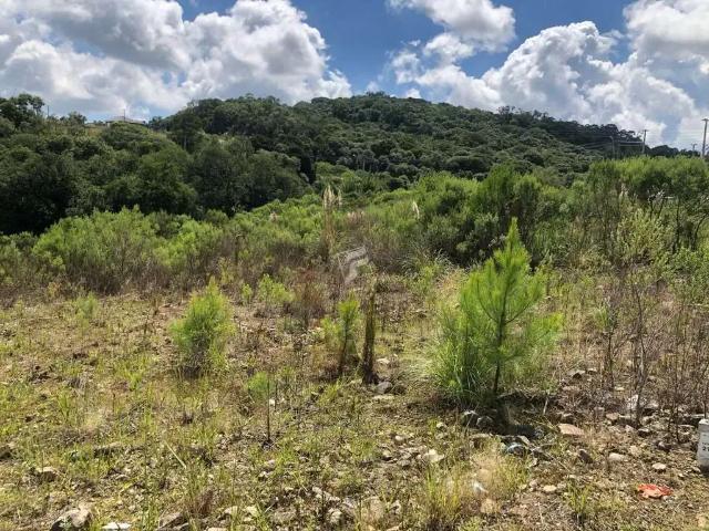 Terreno / Lote para Venda em Caxias do Sul/RS São Giácomo