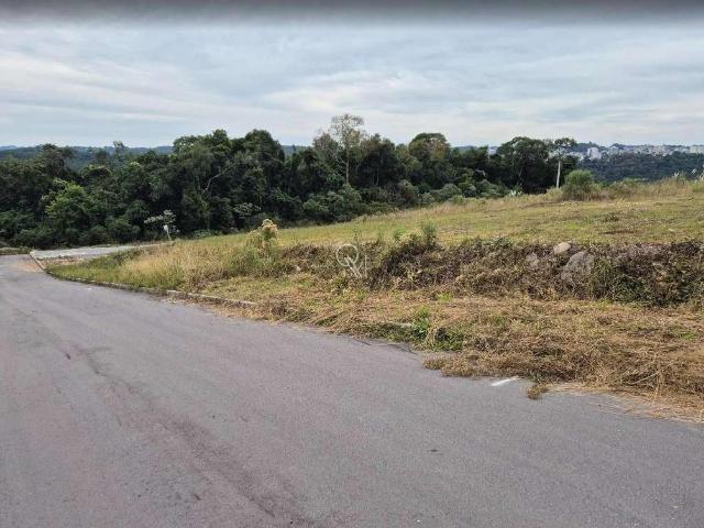 Terreno / Lote para Venda em Caxias do Sul/RS São Giácomo