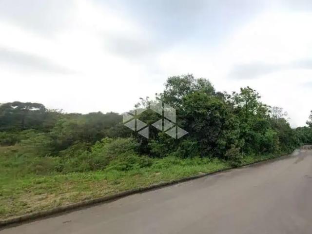 Terreno / Lote para Venda em Caxias do Sul/RS São Giácomo