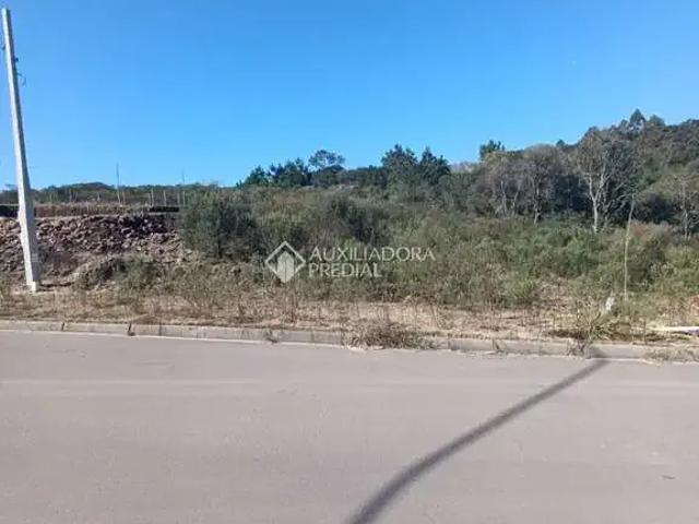 Terreno / Lote para Venda em Caxias do Sul/RS São Giácomo