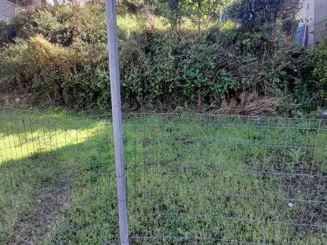 Terreno / Lote para Venda em Caxias do Sul/RS São José