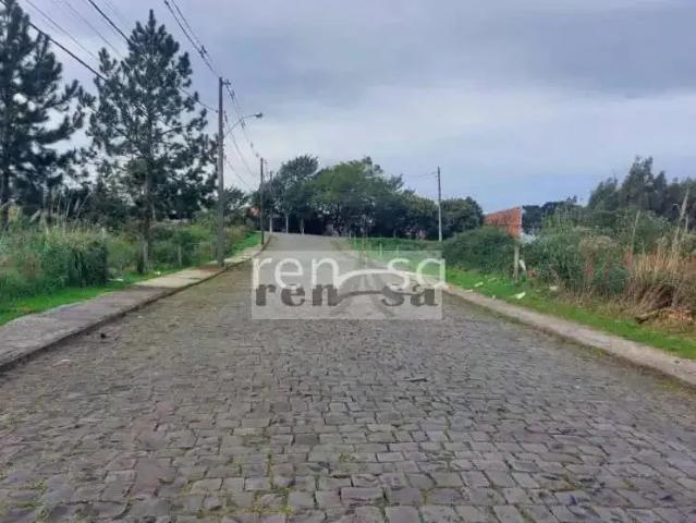 Terreno / Lote para Venda em Caxias do Sul/RS São José