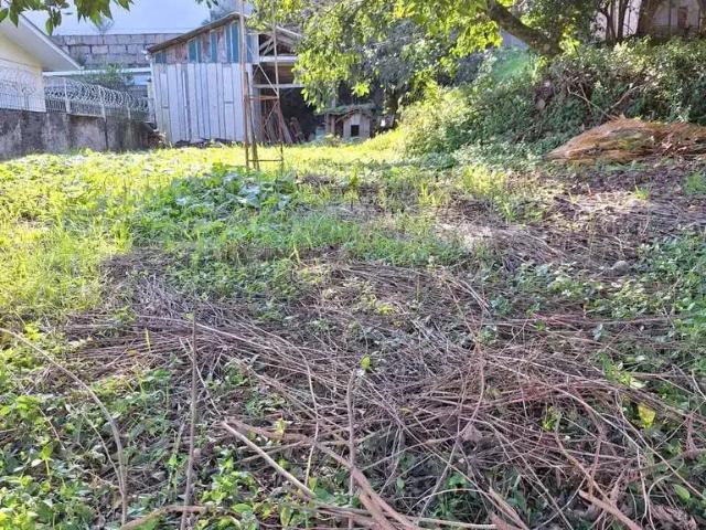 Terreno / Lote para Venda em Caxias do Sul/RS São José