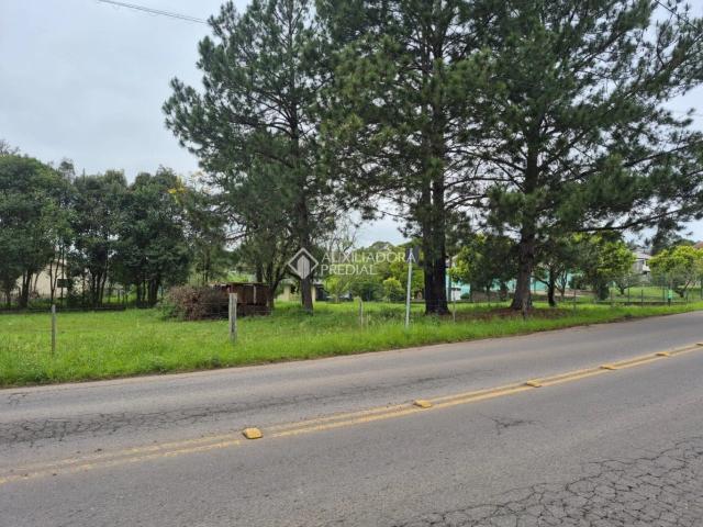 Terreno / Lote para Venda em Caxias do Sul/RS São Luiz