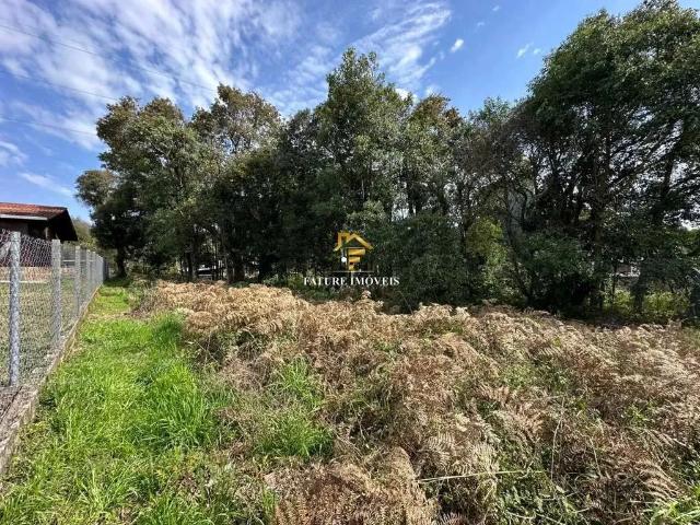 Terreno / Lote para Venda em Caxias do Sul/RS São Luiz
