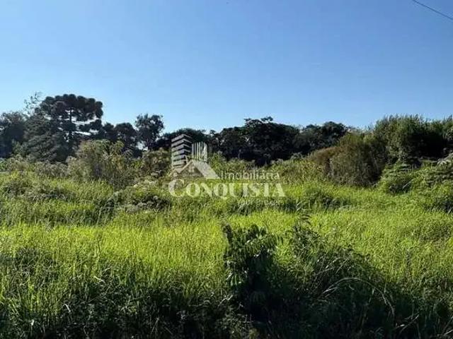 Terreno / Lote para Venda em Caxias do Sul/RS São Luiz