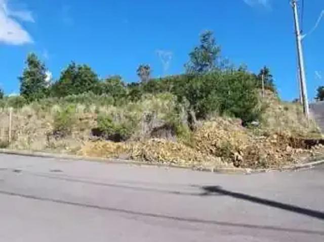 Terreno / Lote para Venda em Caxias do Sul/RS São Luiz