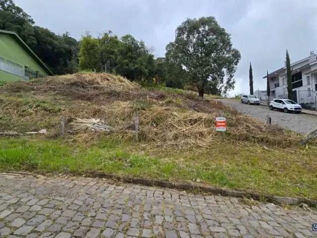 Terreno / Lote para Venda em Caxias do Sul/RS São Luiz
