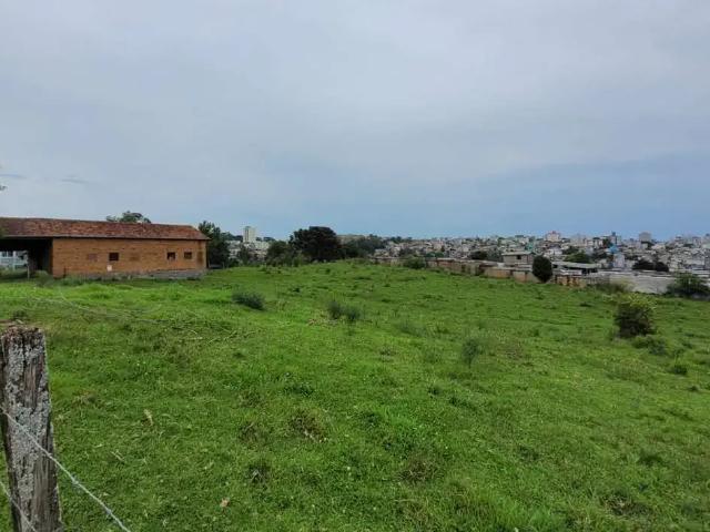 Terreno / Lote para Venda em Caxias do Sul/RS São Luiz da Sexta Légua
