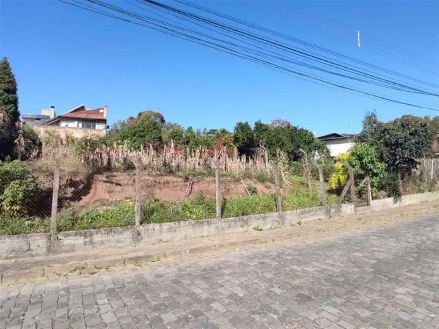 Terreno / Lote para Venda em Caxias do Sul/RS São Leopoldo