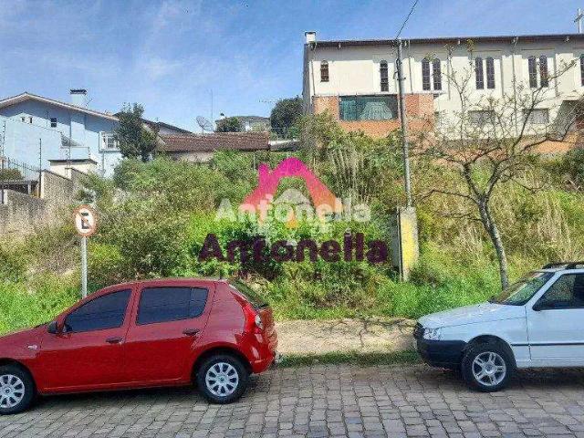 Terreno / Lote para Venda em Caxias do Sul/RS São Leopoldo