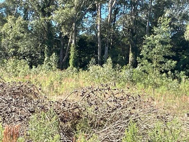 Terreno / Lote para Venda em Caxias do Sul/RS São Pedro da Terceira Légua