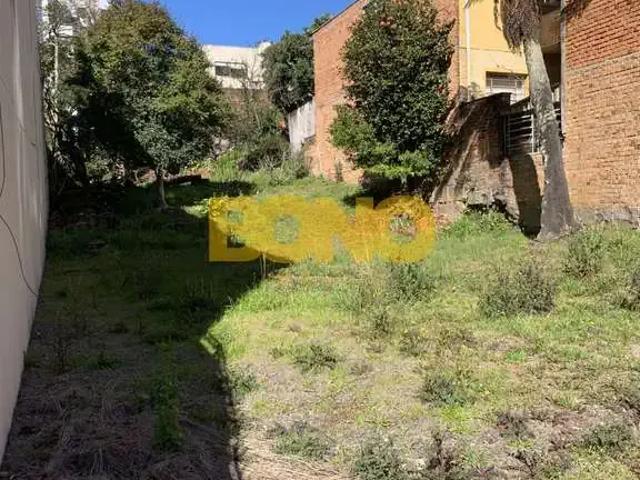 Terreno / Lote para Venda em Caxias do Sul/RS São Pelegrino