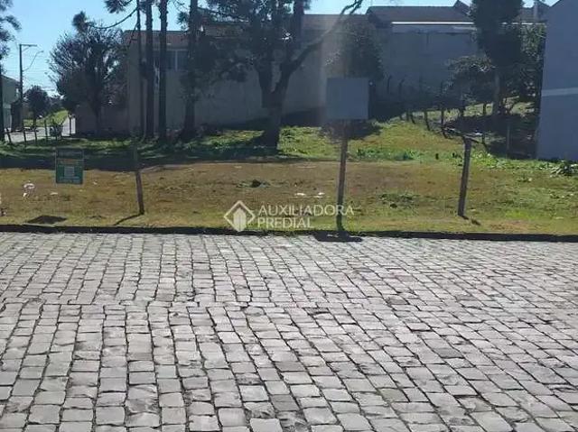 Terreno / Lote para Venda em Caxias do Sul/RS São Victor COHAB