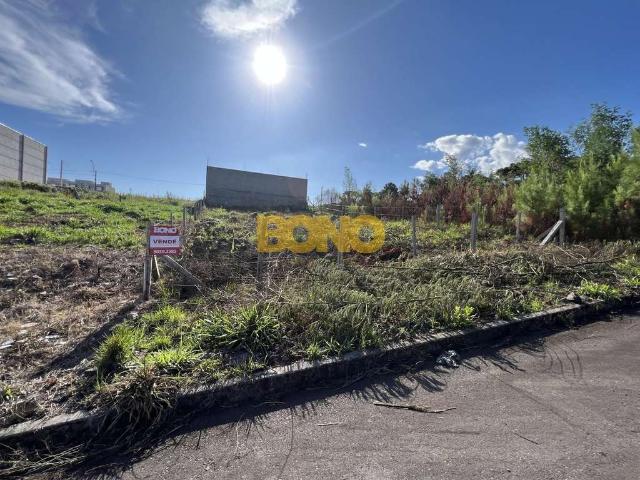 Terreno / Lote para Venda em Caxias do Sul/RS São Victor COHAB