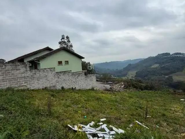 Terreno / Lote para Venda em Caxias do Sul/RS São Victor COHAB