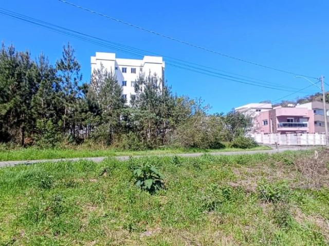 Terreno / Lote para Venda em Caxias do Sul/RS São Virgílio