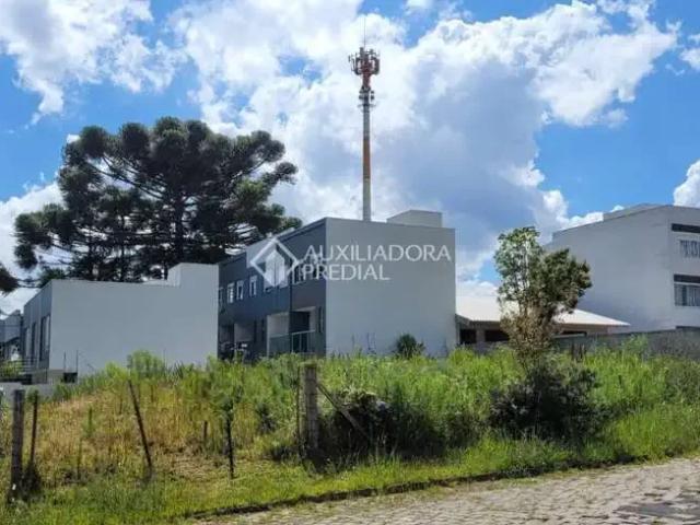Terreno / Lote para Venda em Caxias do Sul/RS São Virgílio