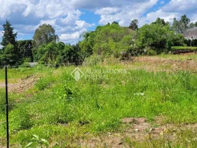 Terreno / Lote para Venda em Caxias do Sul/RS São Virgílio