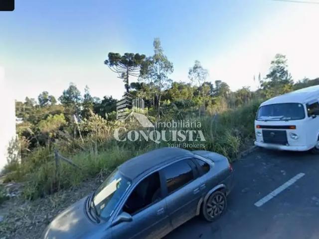 Terreno / Lote para Venda em Caxias do Sul/RS São Virgílio