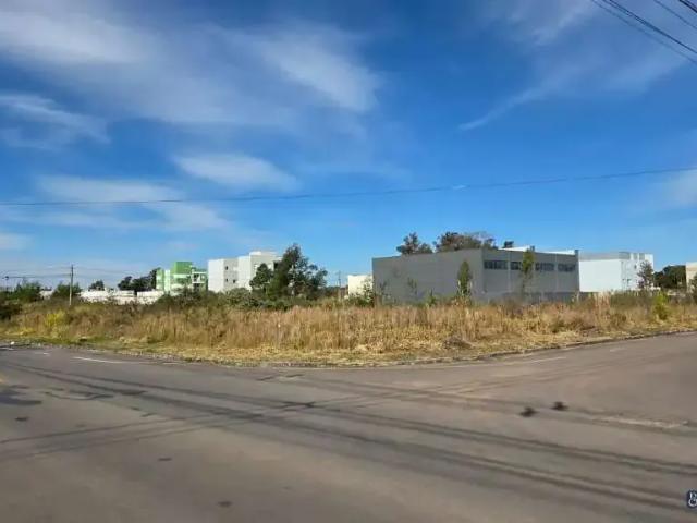Terreno / Lote para Venda em Caxias do Sul/RS São Virgílio