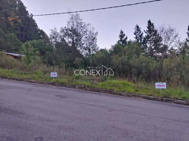 Terreno / Lote para Venda em Caxias do Sul/RS São Virgílio