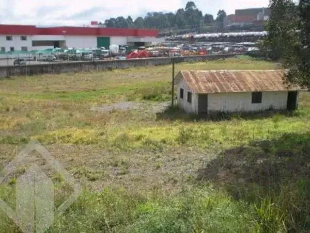Terreno / Lote para Venda em Caxias do Sul/RS Sagrada Família