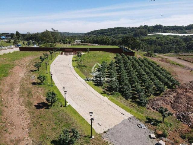 Terreno / Lote para Venda em Caxias do Sul/RS Santa Catarina