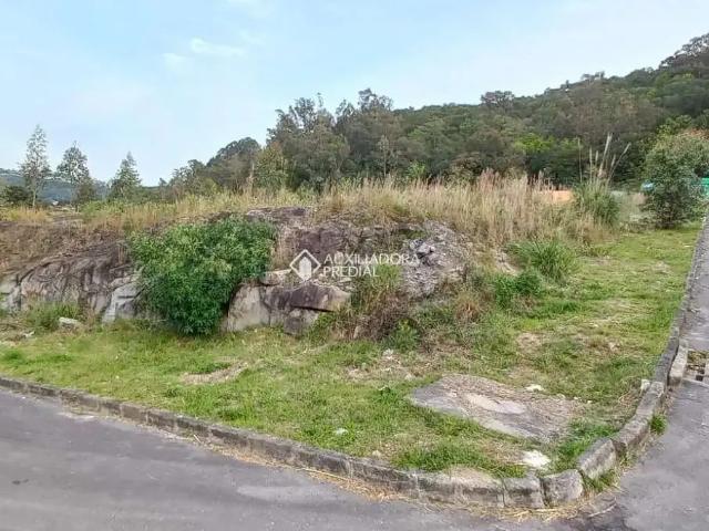 Terreno / Lote para Venda em Caxias do Sul/RS Santa Catarina