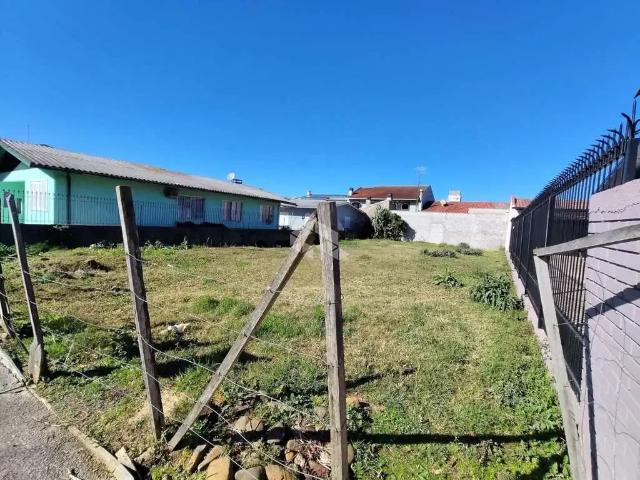 Terreno / Lote para Venda em Caxias do Sul/RS Santa Catarina