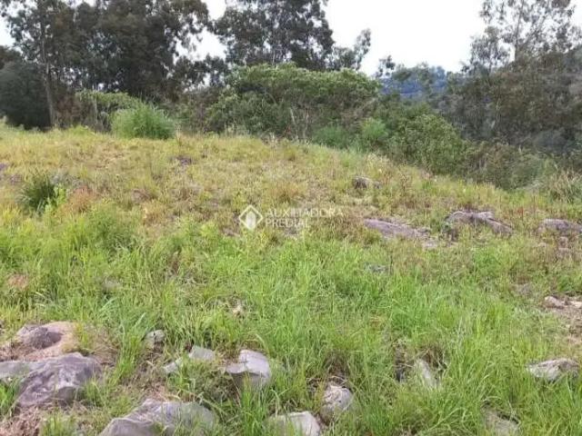 Terreno / Lote para Venda em Caxias do Sul/RS Santa Catarina