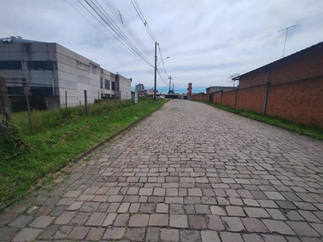 Terreno / Lote para Venda em Caxias do Sul/RS Santa Catarina