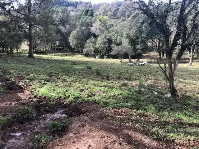 Terreno / Lote para Venda em Caxias do Sul/RS Santa Fé