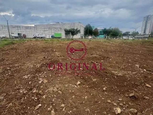 Terreno / Lote para Venda em Caxias do Sul/RS Sanvitto