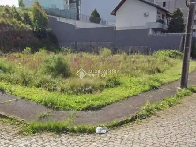 Terreno / Lote para Venda em Caxias do Sul/RS Sanvitto
