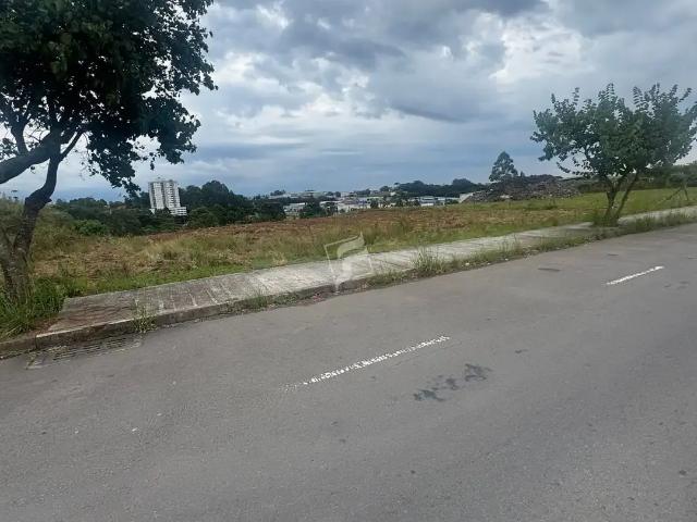 Terreno / Lote para Venda em Caxias do Sul/RS Sanvitto