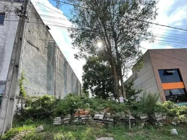 Terreno / Lote para Venda em Caxias do Sul/RS Sanvitto