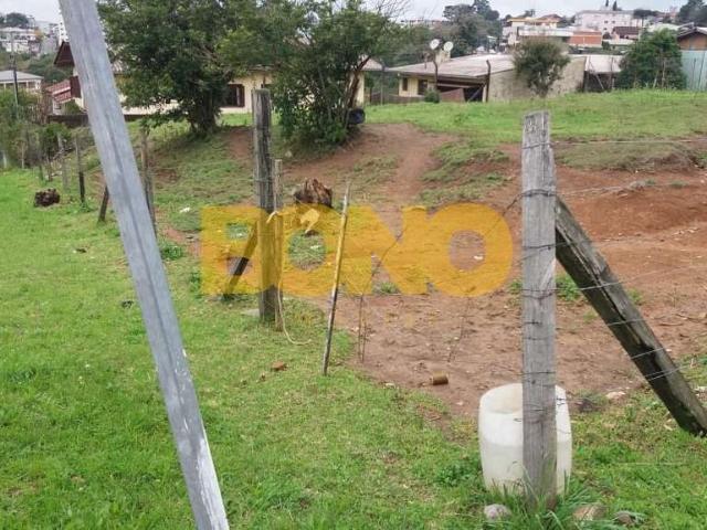 Terreno / Lote para Venda em Caxias do Sul/RS Sanvitto