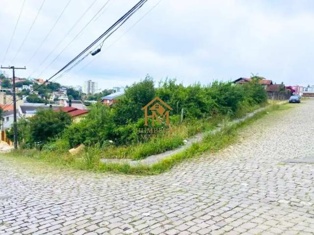 Terreno / Lote para Venda em Caxias do Sul/RS Sanvitto