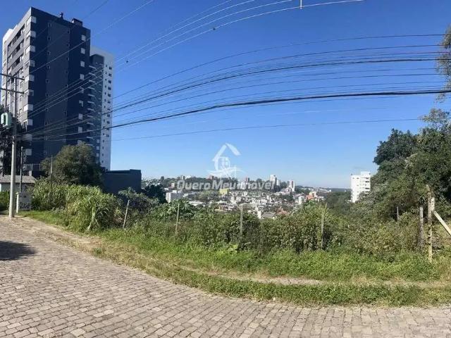 Terreno / Lote para Venda em Caxias do Sul/RS Panazzolo