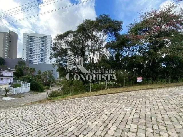Terreno / Lote para Venda em Caxias do Sul/RS Panazzolo